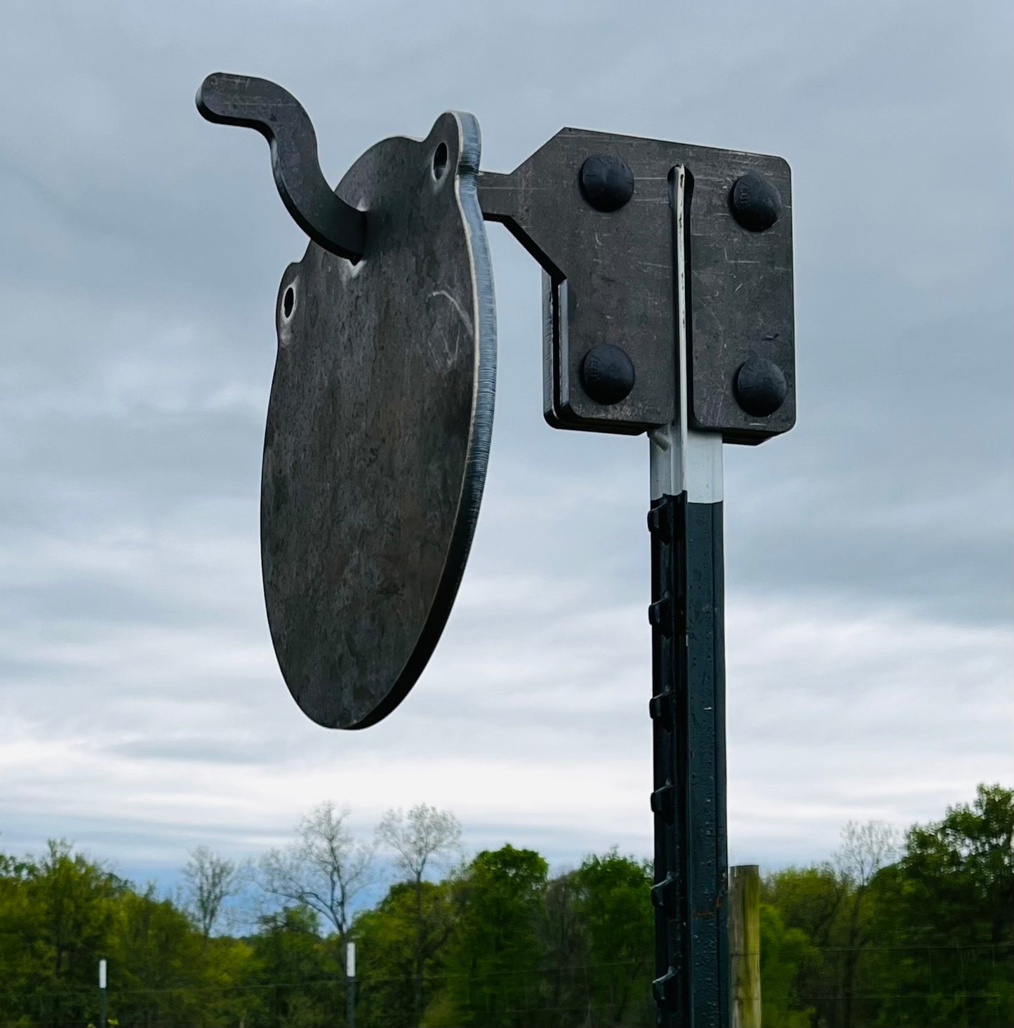 10" SR500 Steel Gong Target