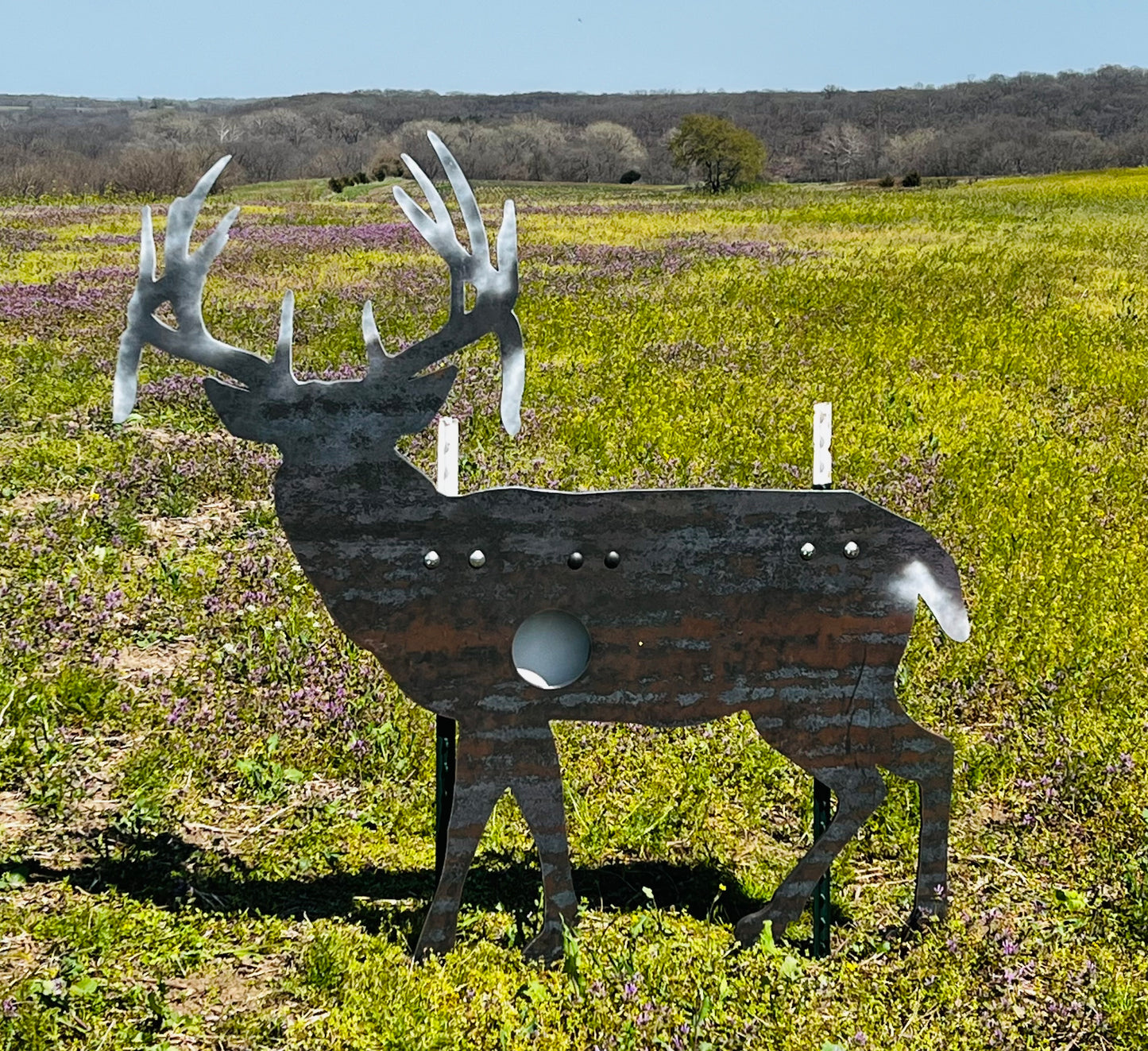 Life Size Whitetail Deer Target