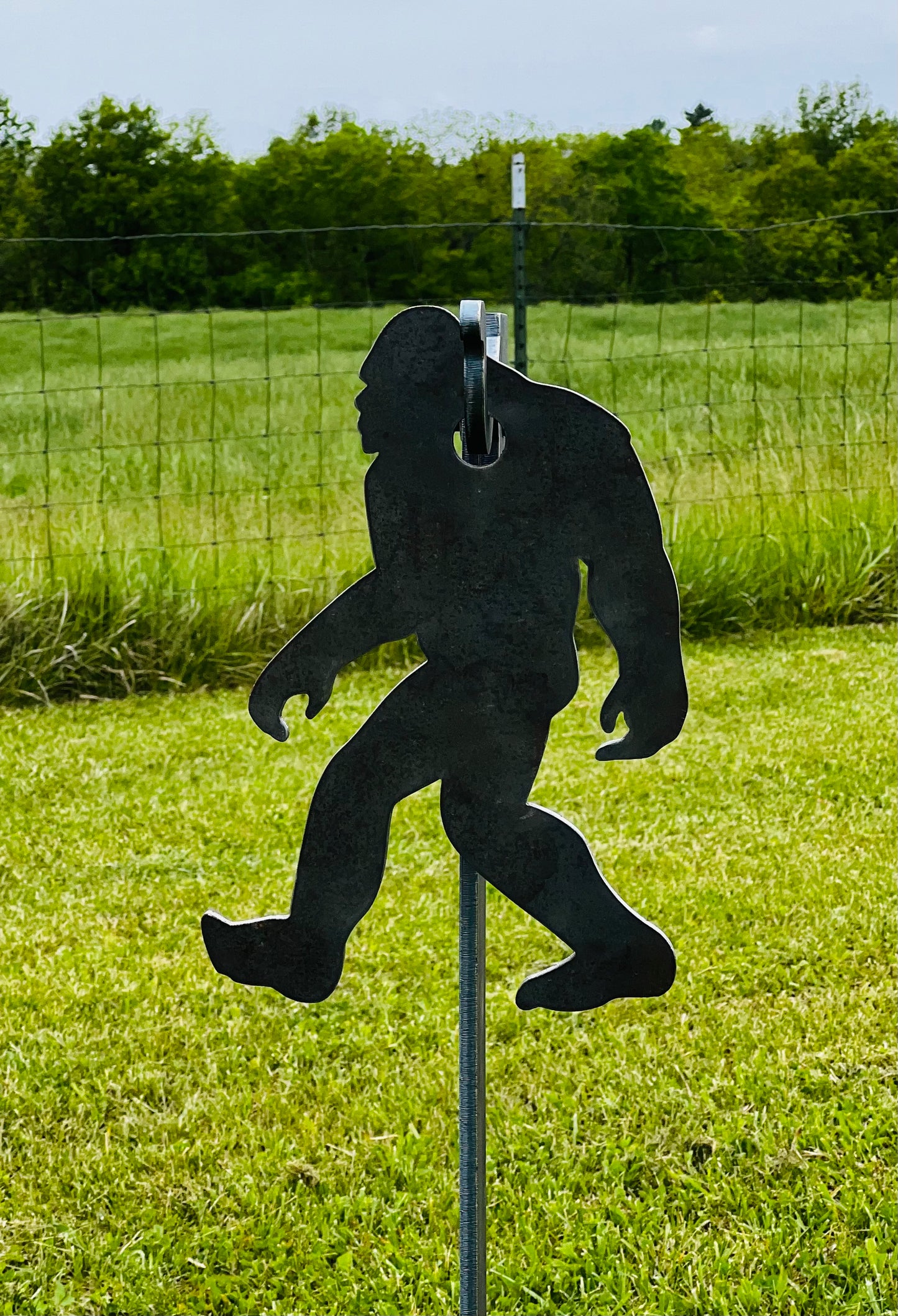 Sasquatch SR500 Target